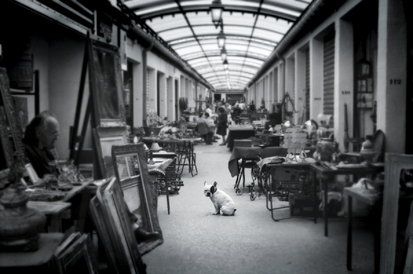 Photograph Jimmy Williams Paris Flea Market on One Eyeland